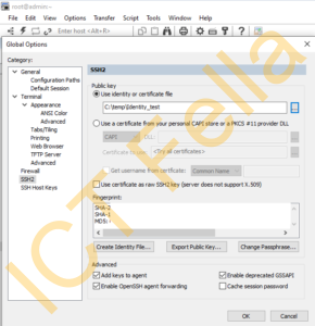 How to Configure SSH Key on SecureCRT - ICT Fella